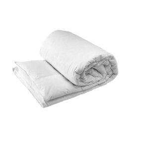 Goose Duvet Inner-BVT221602